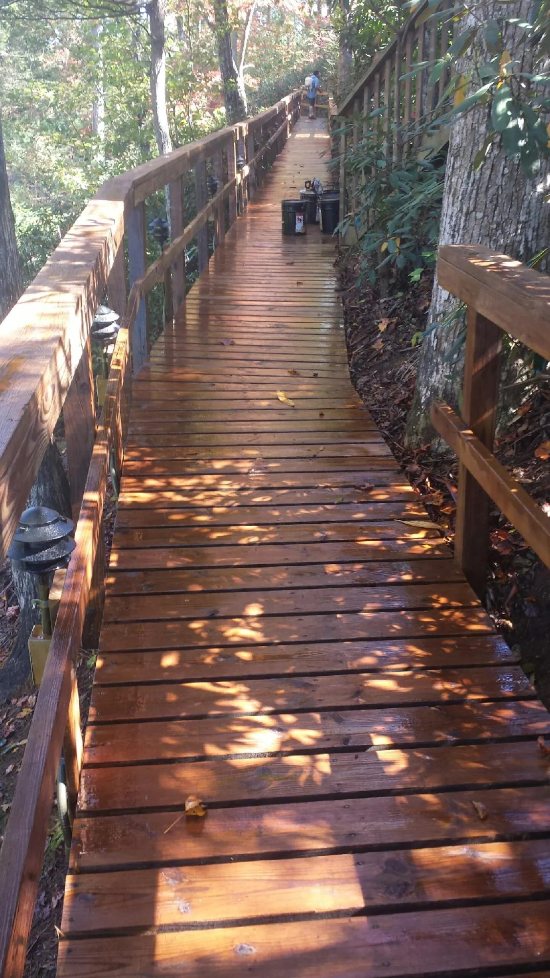 Freshly stained wood walkway winding through the woods in Killeen